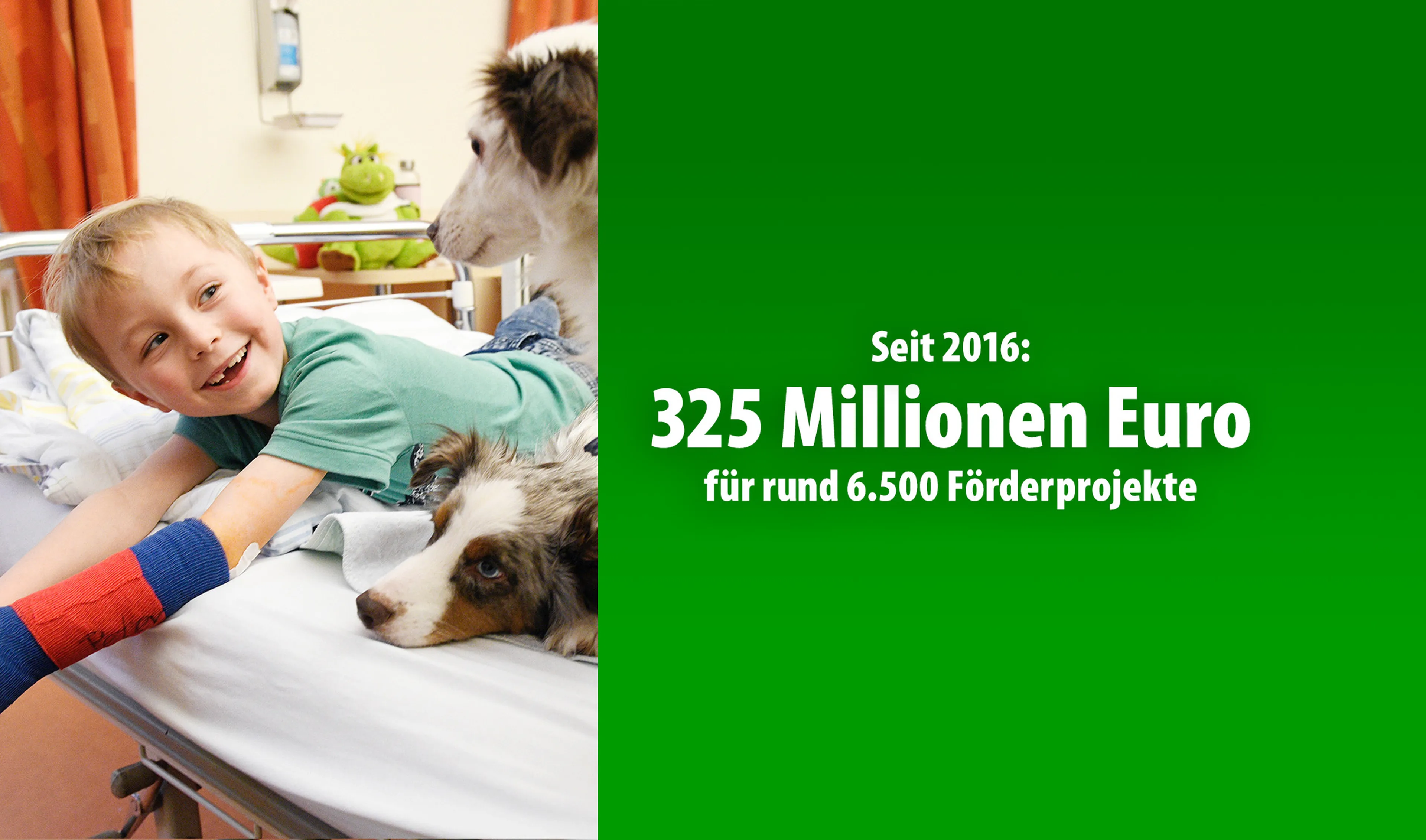 Seit 2016: 325 Millionen Euro für rund 6.500 Förderprojekte