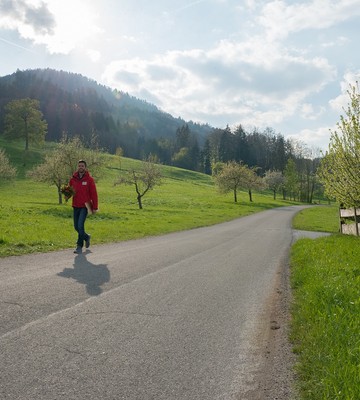 03-feb-2018-91346-wiesenttal-bayern-17d6944efd06c3a72c93b9342787566f.jpeg
