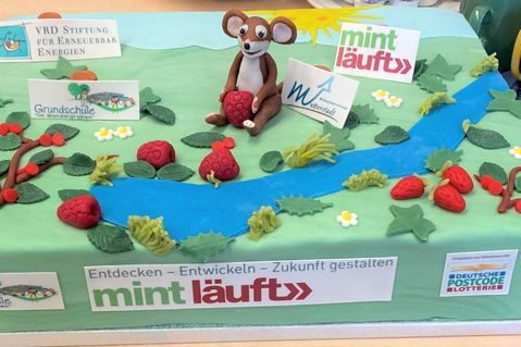 vrd-stiftung-fuer-erneuerbare-energien-f40025a72becb3c913c8c5376f1f3778.jpg