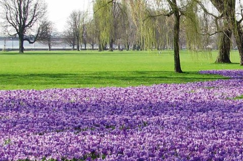 pro-dusseldorf-979b2af839cd1bb938296e4151d0b7de.jpg