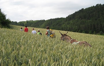 buntergrund-e-v-b78730b45a0ecba1308eecf809b4b660.jpeg
