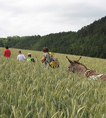 buntergrund-e-v-b78730b45a0ecba1308eecf809b4b660.jpeg