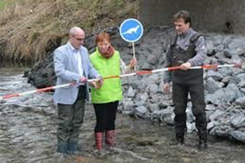 deutsche-umwelthilfe-d0d3a07c44e128793e32d7fb60f7b42c.jpeg