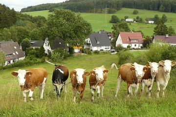 heesfelder-muehle-a6d2b4aadb0fd23dd358266285ee9693.jpg
