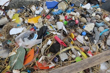 kuste-gegen-plastik-1f535addbe8d0a19b3e44ca2736ea444.jpg