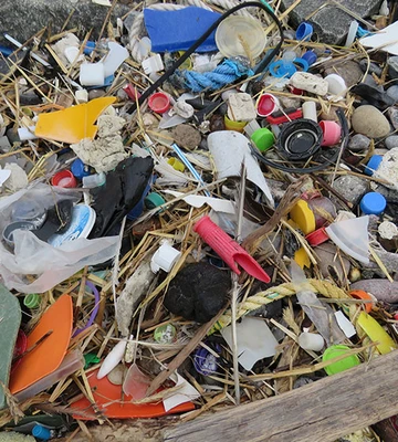 kuste-gegen-plastik-1f535addbe8d0a19b3e44ca2736ea444.jpg