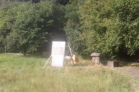 marburger-waldkindergarten-252f9b44cc66e5827b04917d60d51508.jpg