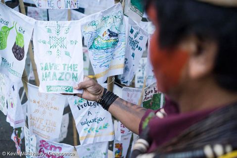 greenpeace-1-78c7f34253c38b02b619d4fc1d79c5a8.jpg
