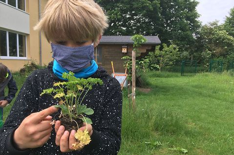 educational-gardening-c09e05465f27bde17f3029ad4b4c21dd.jpg