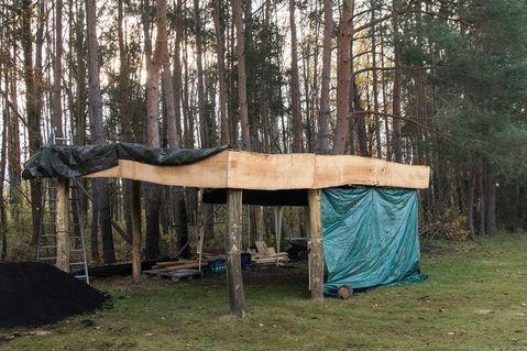 nabu-petershagen-1254e53c1fc3ea1580580de718909b66.jpg