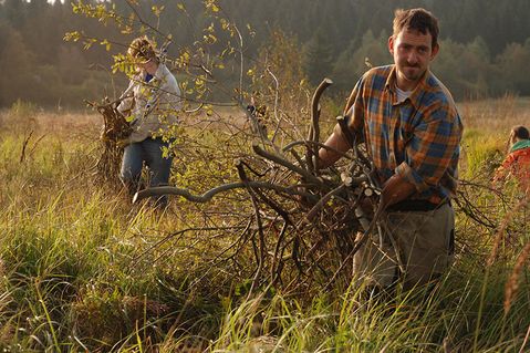 bergwaldprojekt-e-v-d2011be526e974202374a8e2e171c905.jpeg