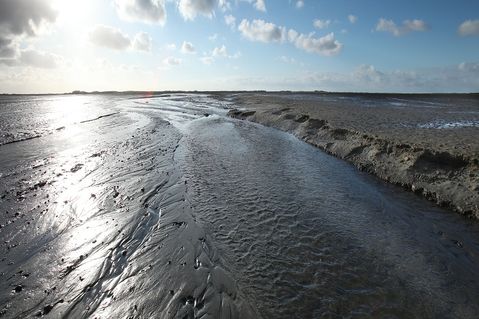 nabu-nordseelife-5b61b3c14df121885ec6995f1c09a672.jpg