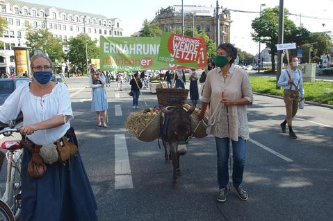 netzwerk-klimaherbst-de0969c0b45a805a938711dcc7738811.jpg