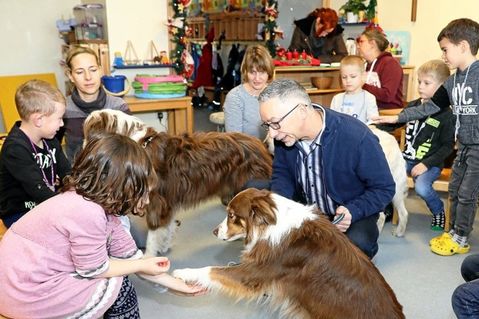 therapiehunde-2.jpg