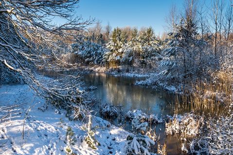 stiftung-naturlandschaften-brandenburg-58fbf7d974a251d63d0ab876ca59851b.jpg