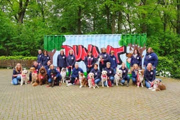 therapiehundeteams-1.jpg