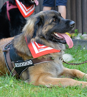 malteser-hilfsdienst-e-v-homburg-saar-282761d708942a816c73b46c7c05fb54.jpeg