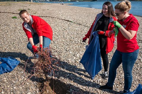 rhine-cleanup-797858a120f2a3d03baf76cd0d918244.jpg