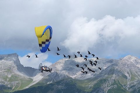 umweltstiftung-wwf-deutschland-4b115916ab55d8101cf27905cd3752fe.jpg