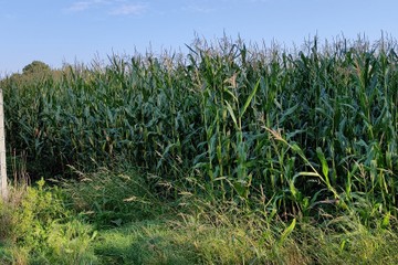 franziskuswerk-schoenbrunn-67ac26bc1ee7f59149cfcb34c99b1d02.jpg