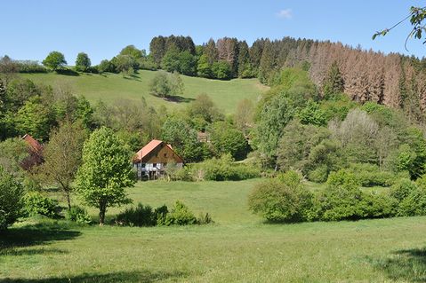heesfelder-muehle-2801fe83804ded0f9ae32122a0eec7e7.jpg