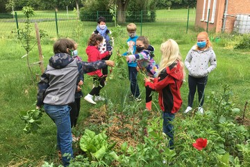 educational-gardening-15337fefedc90616b91e623711bd3844.jpg