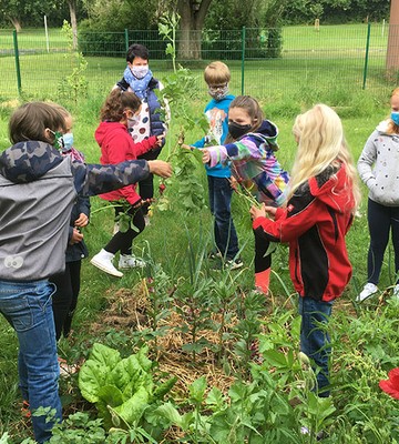 educational-gardening-15337fefedc90616b91e623711bd3844.jpg