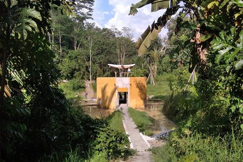 orang-utans-in-not-1-fac170187d03dcc9921fdb0867880c28.jpg
