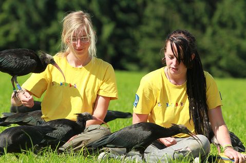umweltstiftung-wwf-deutschland-59ab052251ca5795643f035c16ddb324.jpg