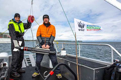 wwf-deutschland-3-39c9e7b570760d1b14d2271fe4c35a33.jpg