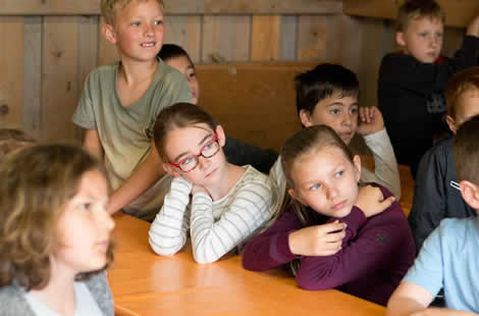 forderverein-arche-noah-e-v-menden-5049198229f21fe558f1967278e5af9c.jpeg