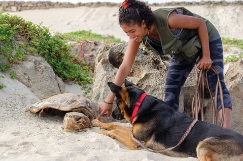 turtle-foundation-e60089d799fd8dbaa0a2c1a147650e4b.jpg