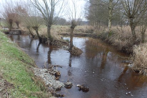 nabu-verden-e3efd0047b1d7179ee39950e9151a1fd.jpeg