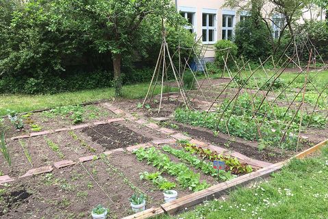 educational-gardening-6a42e376d1114e5e1bd984d162f0adac.jpg