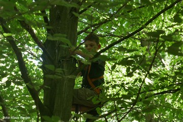 wild-land-0aae5c3dbe9c71df00148b6971ba63a8.jpg