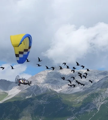 www-waldrapp-76c02c6392608f9d17cd33cfcaba9517.jpg