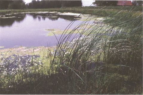 bund-nrw-1-316781ad4c8a103af73fdfee8949b878.jpg