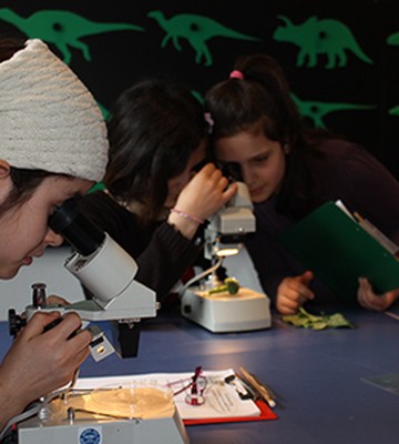 forderverein-naturkunde-museum-1806e9b4231880bdd872f1eb71820562.jpeg