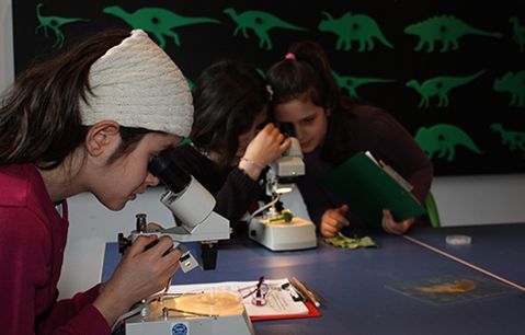 forderverein-naturkunde-museum-1806e9b4231880bdd872f1eb71820562.jpeg