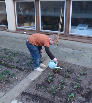 verband-der-gartenfreunde-riesa-9c3c342f9bb5309312719bedf7f115c7.jpeg