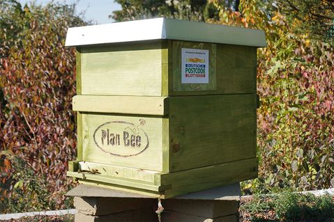 plan-b-0d8c3d147dda01851df1cb7dfd80d047.jpg
