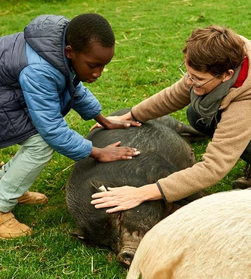 gesundheit-durch-tiere-798ea2035c27ae6527bd7b68e05ccfb3.jpeg
