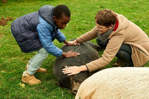 gesundheit-durch-tiere-798ea2035c27ae6527bd7b68e05ccfb3.jpeg