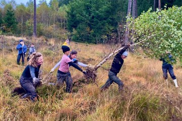 bergwaldprojekt-2-bd68470d325e7c59f8c1c070d4810d7d.jpg