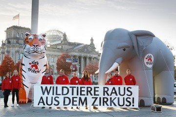 vier-pfoten-stiftung-fuer-tierschutz-b7471502e5a8ea257e98cc40b3e55c35.JPG