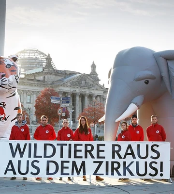 vier-pfoten-stiftung-fuer-tierschutz-b7471502e5a8ea257e98cc40b3e55c35.JPG