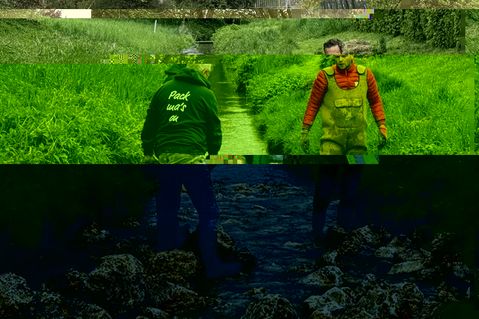 wwf.JPG
