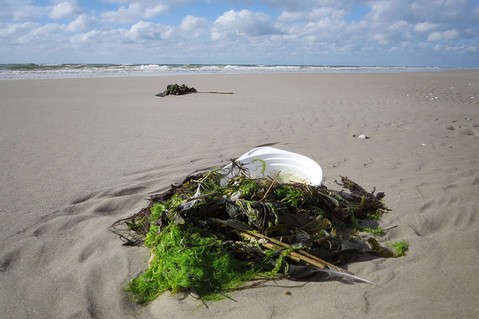 kuste-gegen-plastik-f4308ea288f052554f64d5f71f1e9a5b.jpg