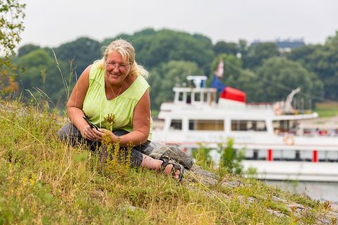 bund-nrw-bcb6a1e27a4e1dc69fb7471aef74d8f0.jpg