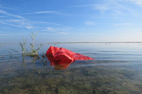 kueste-gegen-plastik-fb0bad90b38e7f5fe11ee8426bd7c8b5.jpg